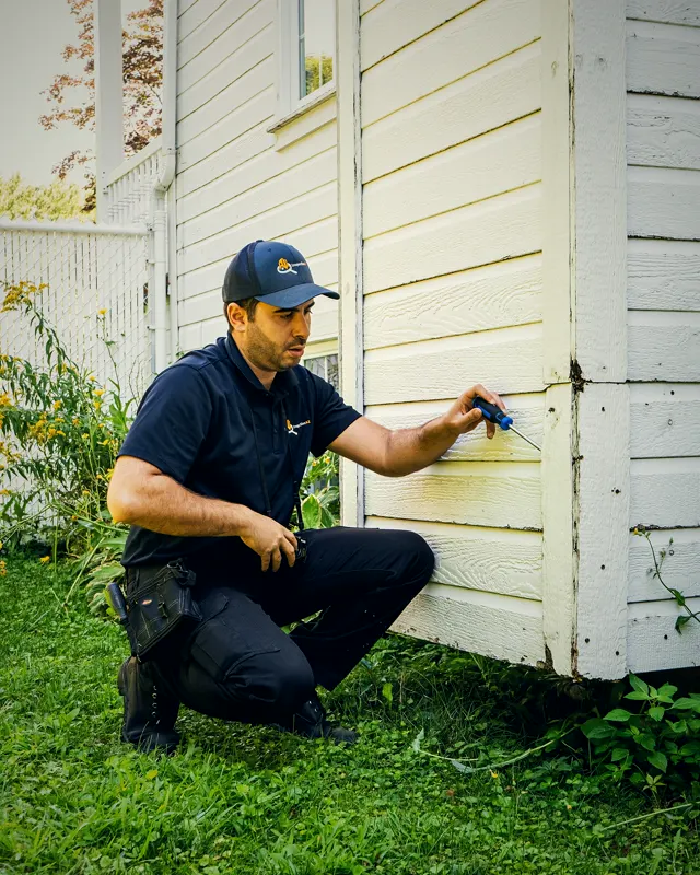 Inspector probing exterior siding at the base of a wall.